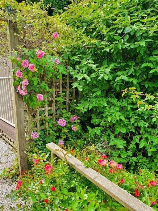 Bijou Coastal Apartment In Polperro With Hot Tub Onsite Parking Downhill Walk To Village エクステリア 写真
